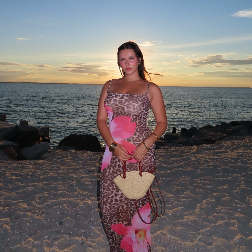REVOLVE Pink and Brown Leopard Print Dress